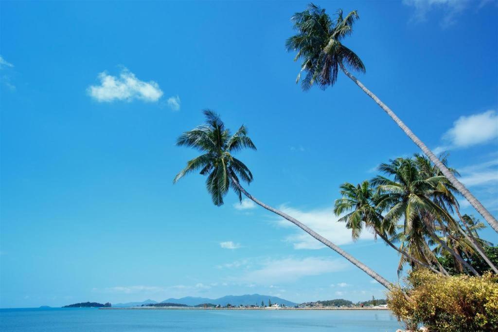 Mm House Hotel Koh Samui Buitenkant foto
